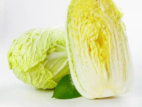 黄白菜