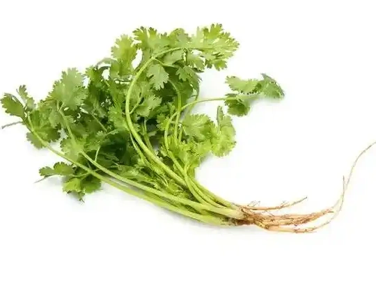香菜