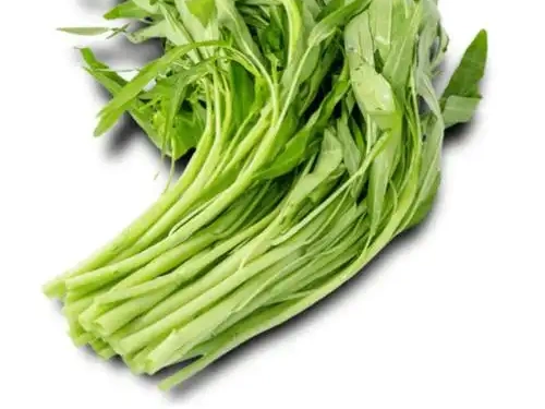 空心菜