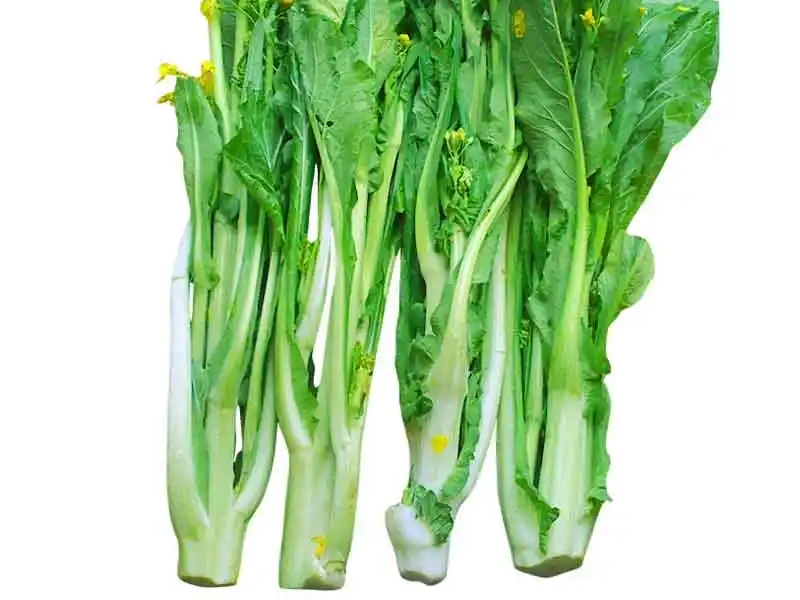 迟菜心