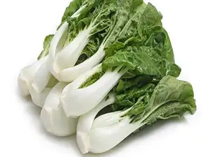 奶白菜