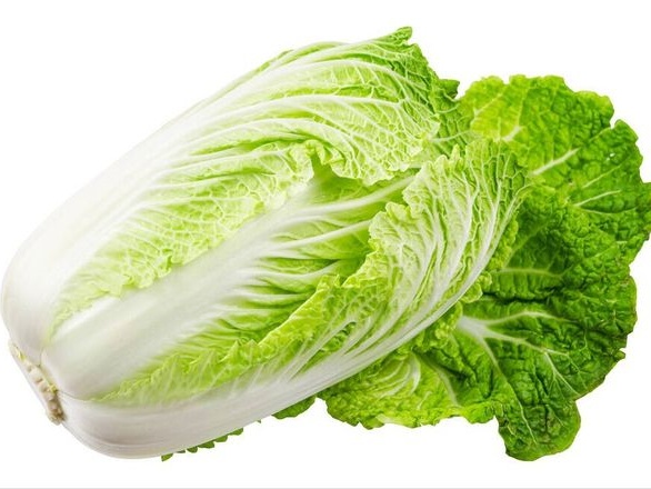 大白菜
