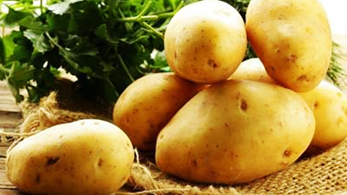 关于土豆的营养吃法与不能和什么食物一起吃